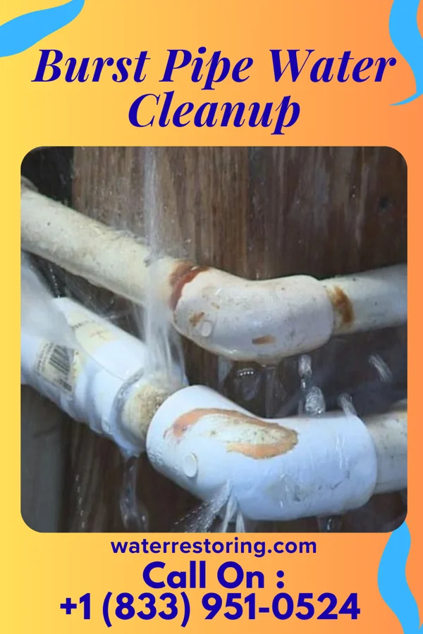 Burst Pipe Water Cleanup in Pocono Ranch Lands, PA