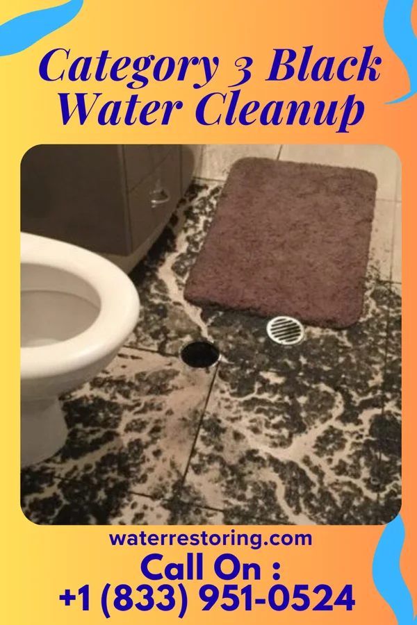 Category 3 Black Water Cleanup in Pocono Ranch Lands, PA