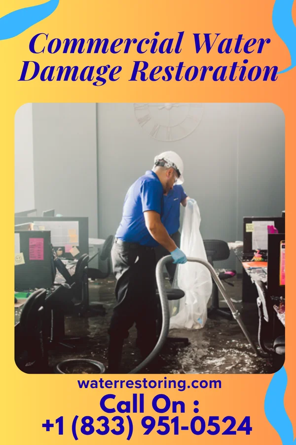 Commercial Water Damage Restoration in Pocono Ranch Lands, PA