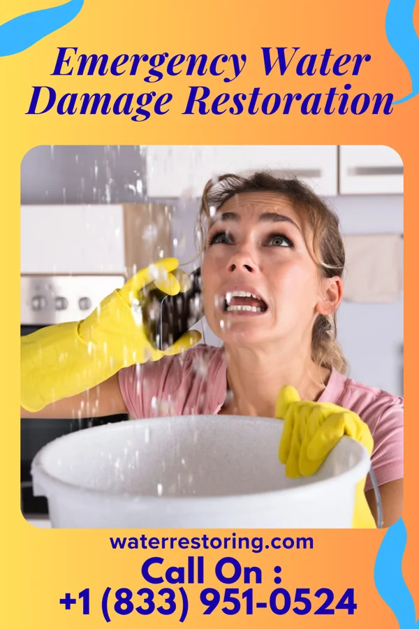Emergency Water Damage Restoration in Pocono Ranch Lands, PA