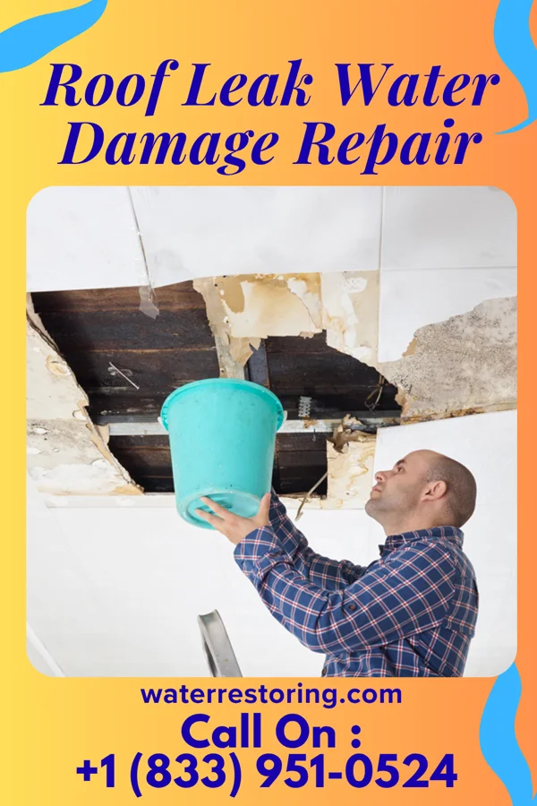 Roof Leak Water Damage Repair in Pocono Ranch Lands, PA
