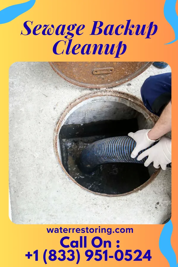 Sewage Backup Cleanup in Pocono Ranch Lands, PA