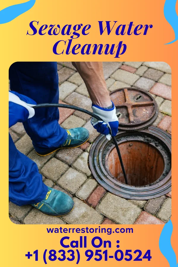 Sewage Water Cleanup in Pocono Ranch Lands, PA